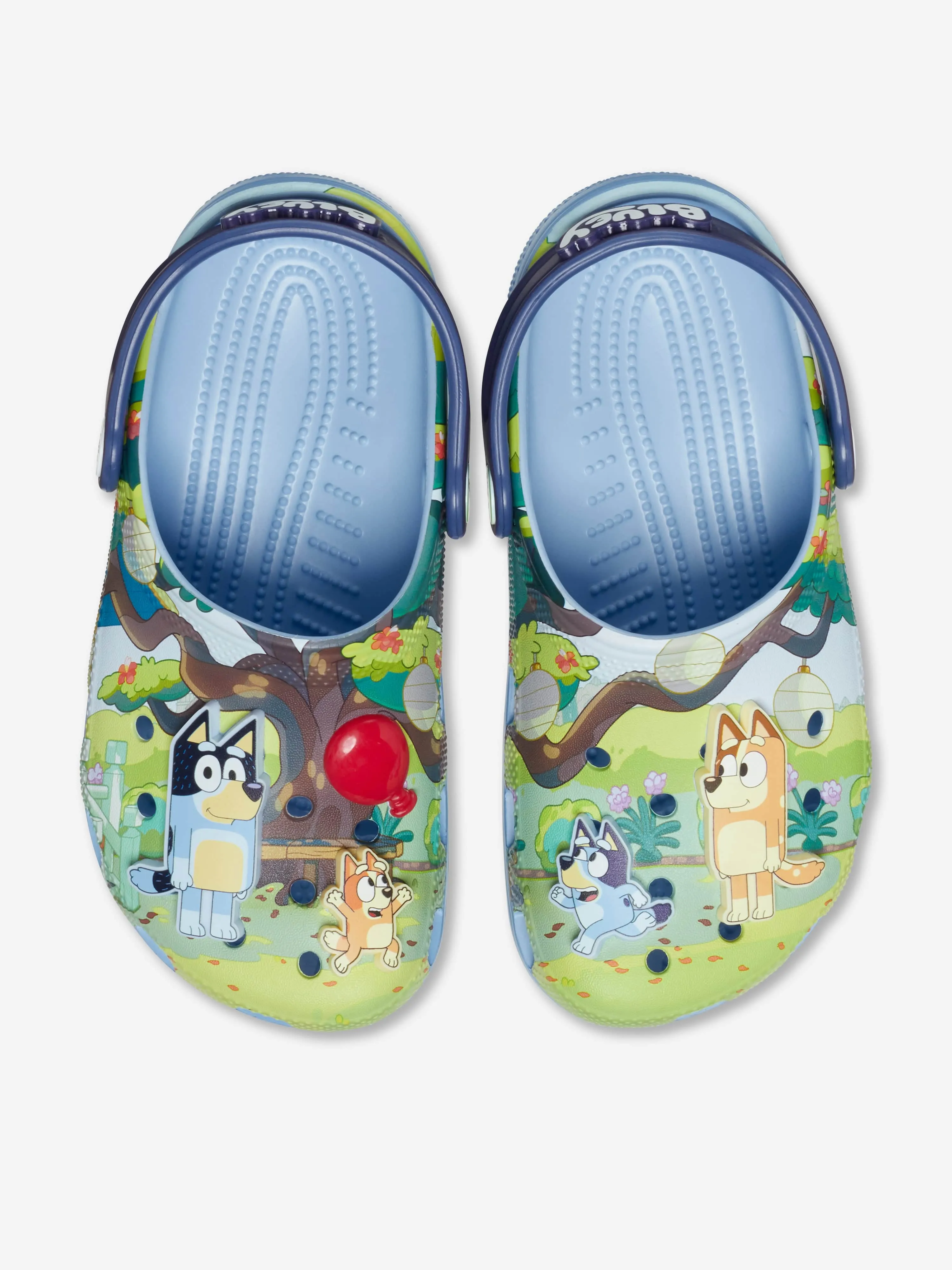 Kids Bluey Classic Clog in Multicolour