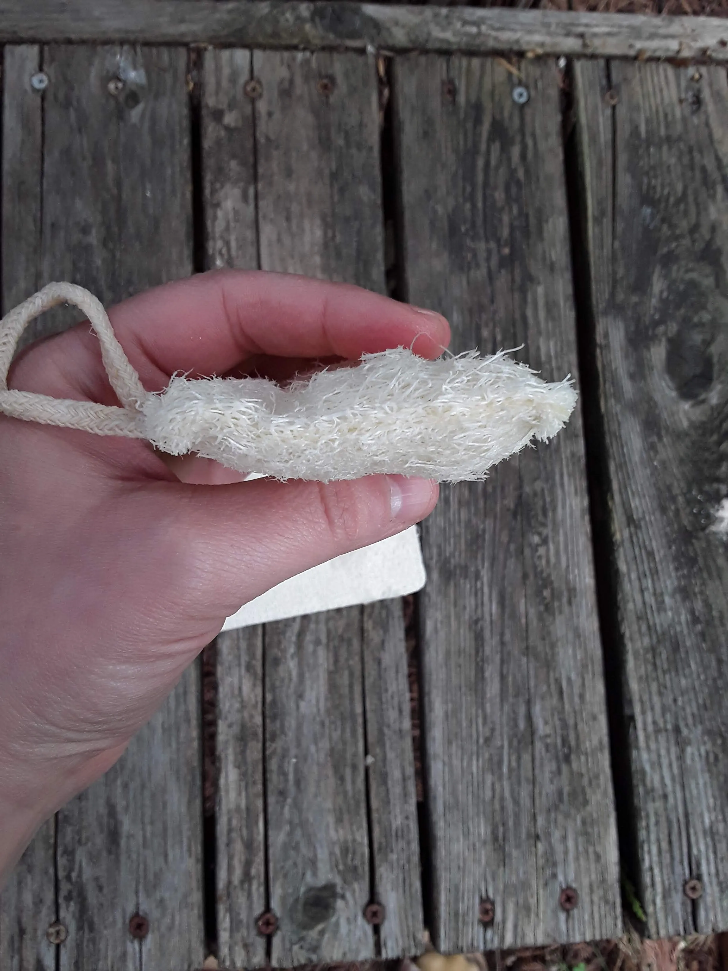 Loofah Dish Sponge